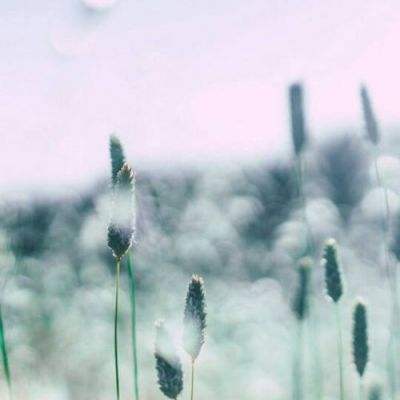 爆烈英雄最新版下载